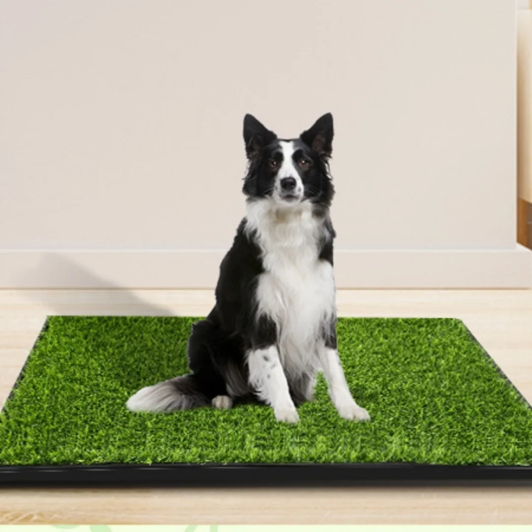 Large Patch Potty Artificial Dog Grass Bathroom With Tray for Pet Training Indoor Outdoor foam permeable mat Washable Pee Pad
Large Patch Potty Artificial Dog Grass Bathroom With Tray for Pet Training Indoor Outdoor foam permeable mat Washable Pee Pad