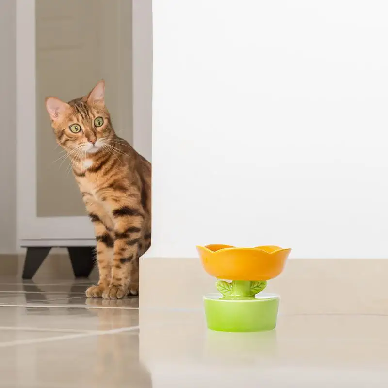 Cat Food Bowls Elevated Flower Shape Small Cat Food Bowls Ceramic Cervical Spine Protection Drinking Bowl For Dog Food
Cat Food Bowls Elevated Flower Shape Small Cat Food Bowls Ceramic Cervical Spine Protection Drinking Bowl For Dog Food