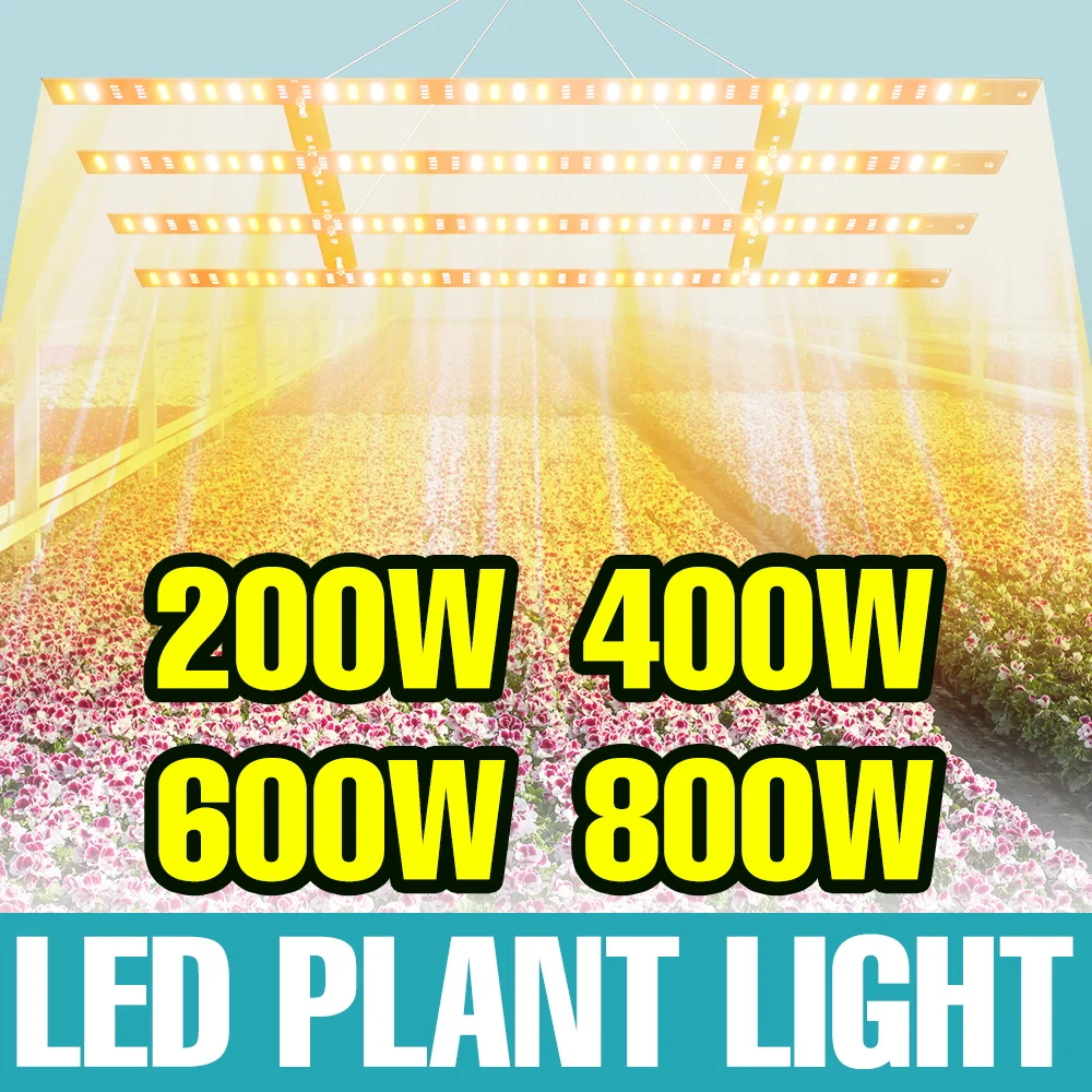 800W LED Full Spectrum Grow Lamp 220V Quantum Board Plant Light Greenhouse Tent Vegs Hydroponic Seeding Fruit Cultivate Lighting
800W LED Full Spectrum Grow Lamp 220V Quantum Board Plant Light Greenhouse Tent Vegs Hydroponic Seeding Fruit Cultivate Lighting