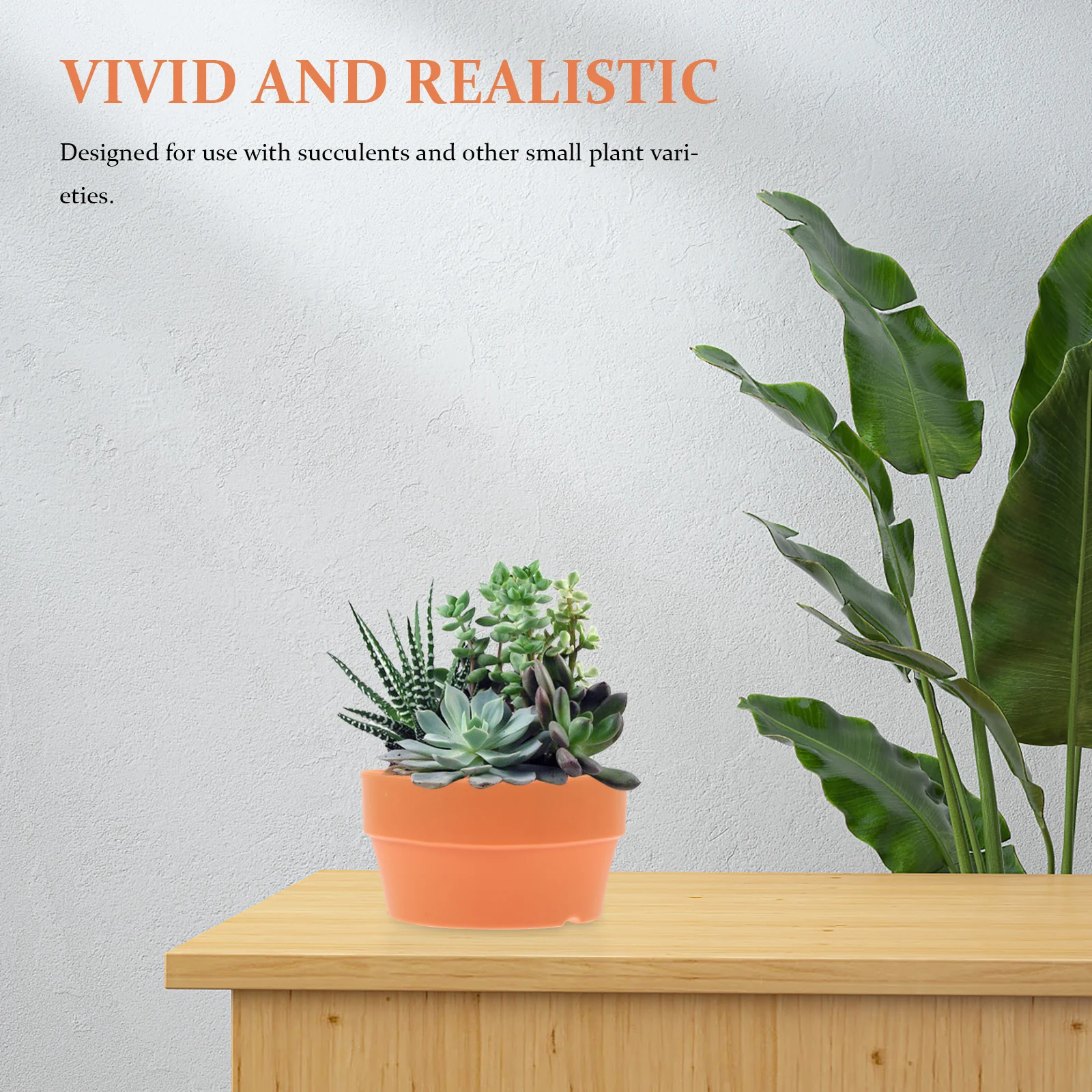 6Pcs Imitation Clay Plastic Flower Pots Round Drainage Hole Design Indoor Outdoor Balcony Desk Succulent Garden Planters Orange
6Pcs Imitation Clay Plastic Flower Pots Round Drainage Hole Design Indoor Outdoor Balcony Desk Succulent Garden Planters Orange