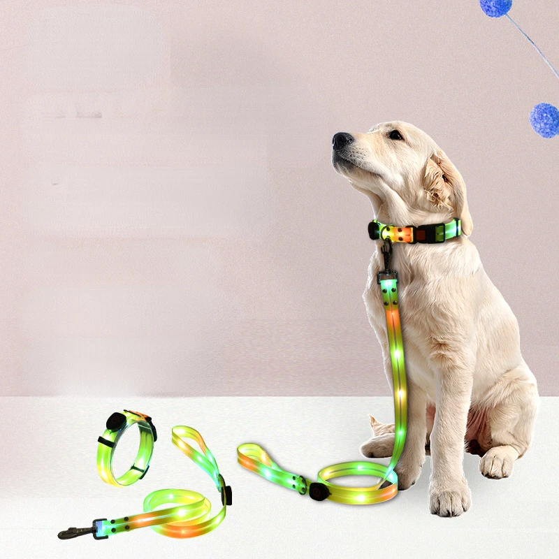 LED Light Up Dog Leash and Collar, Rechargeable, Waterproof, Glow in the Dark, Luminous, Reflective, Dog Leash
LED Light Up Dog Leash and Collar, Rechargeable, Waterproof, Glow in the Dark, Luminous, Reflective, Dog Leash
