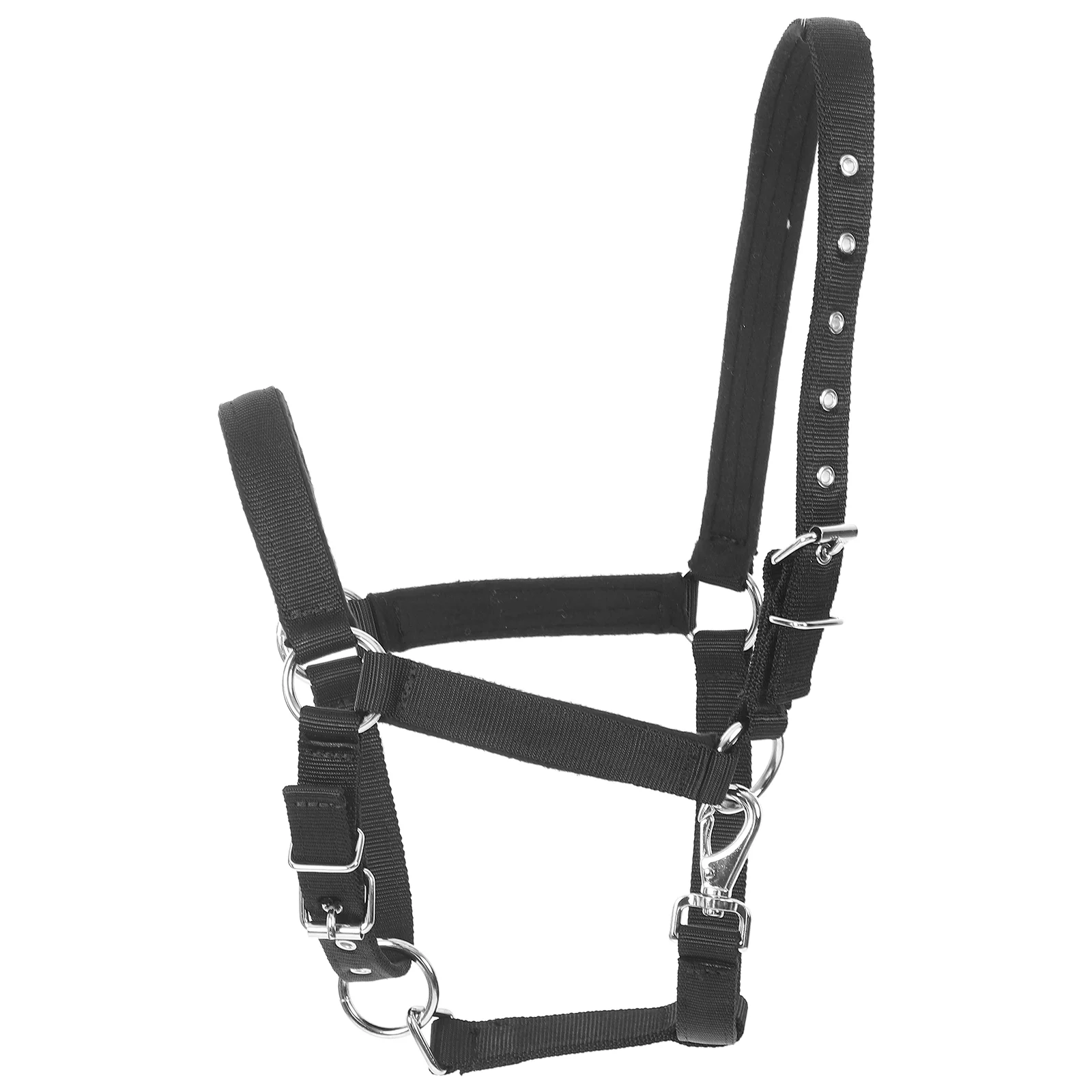 Horse Bridle Supply Household Halter Headband Adjustable Nylon Portable Training
Horse Bridle Supply Household Halter Headband Adjustable Nylon Portable Training