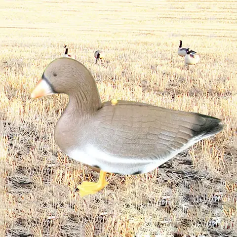 1PCS Jacht Decoy Eend Schuim Kalkoen Drijvende Watervogels Aas Verstelbare Riem Nylon Mesh Tas Dragen Duif Gans Gevogelte Lokvogels