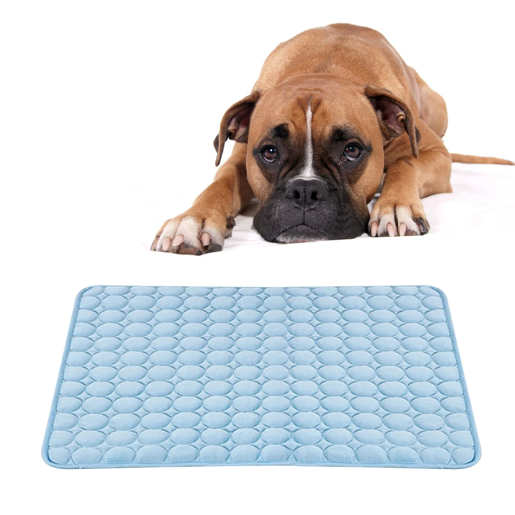 Ice Silk Pet Cool Pad Breathable Cooling Mat For Dogs Cats Summer Self Cooling Bed Blue 63X50Cm Outdoor Indoor Travel Pet
Ice Silk Pet Cool Pad Breathable Cooling Mat For Dogs Cats Summer Self Cooling Bed Blue 63X50Cm Outdoor Indoor Travel Pet