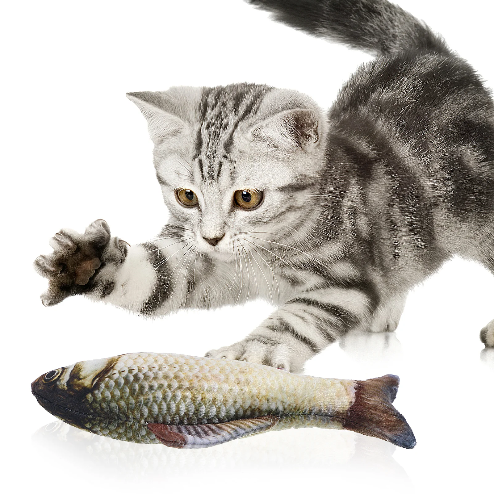 6pcs 6 Count Cat Fish Pillowv Cute Extra Soft Stuffed Animal Contains
6pcs 6 Count Cat Fish Pillowv Cute Extra Soft Stuffed Animal Contains