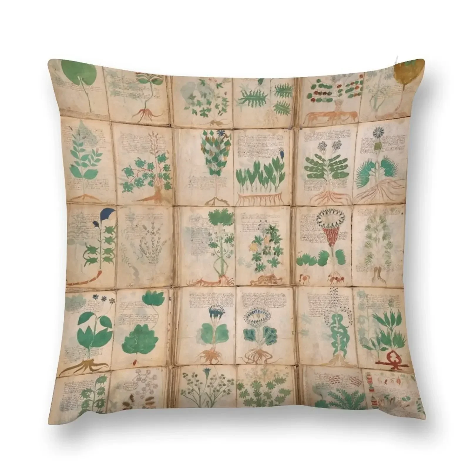 The Voynich Manuscript Pages Set Throw Pillow Pillows Aesthetic Sofa Cushion Cover pillows decor home pillow
The Voynich Manuscript Pages Set Throw Pillow Pillows Aesthetic Sofa Cushion Cover pillows decor home pillow
