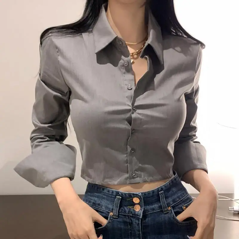 Gray Long Sleeve Shirt Women's Body Shape Show off Waist Exposure Commute Style Korean Version Self-Preservation Shirt
Gray Long Sleeve Shirt Women's Body Shape Show off Waist Exposure Commute Style Korean Version Self-Preservation Shirt