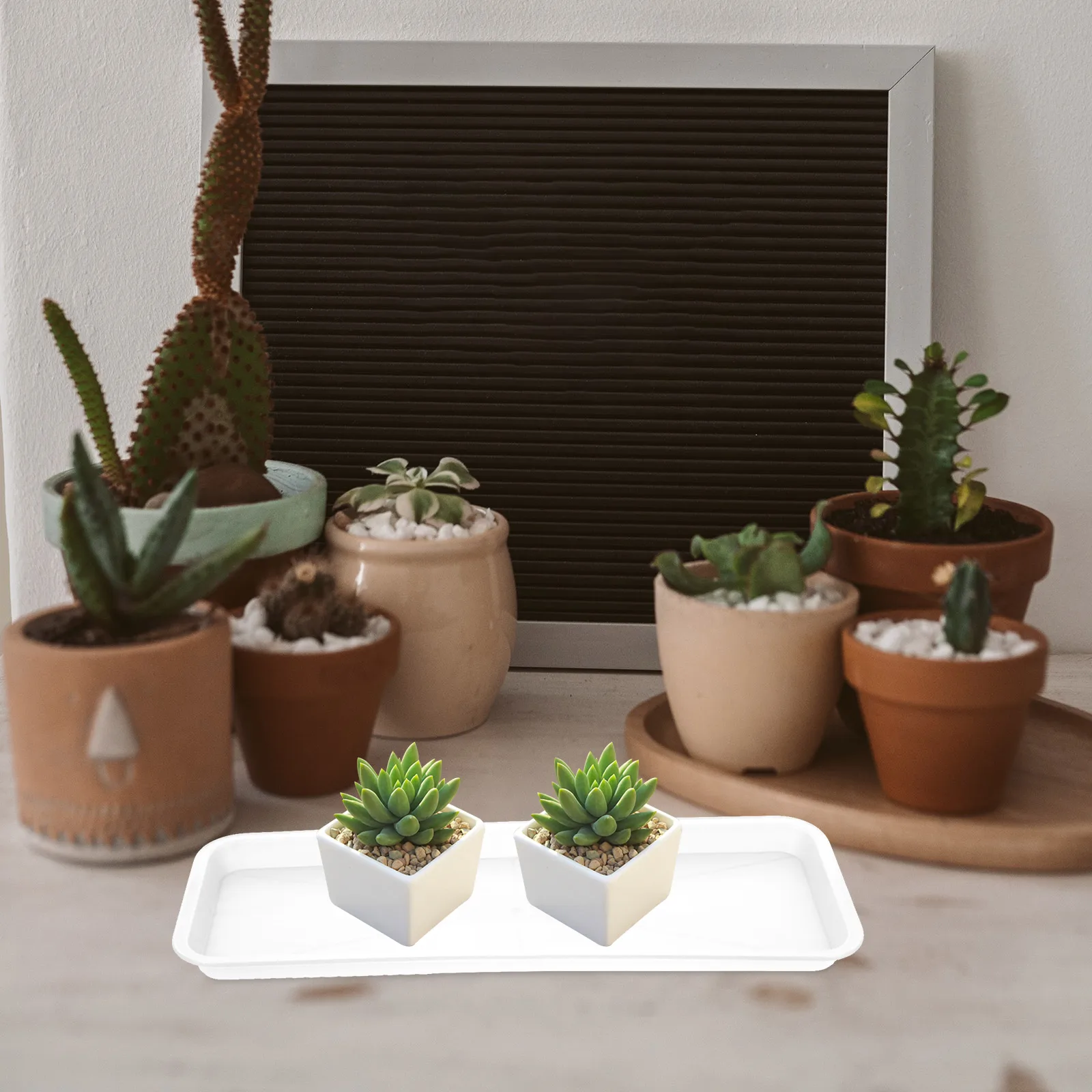 10pcs Rectangle Plastic Plant Saucers PP Material Flower Pot Trays Water Catchers Plant Accessories
10pcs Rectangle Plastic Plant Saucers PP Material Flower Pot Trays Water Catchers Plant Accessories