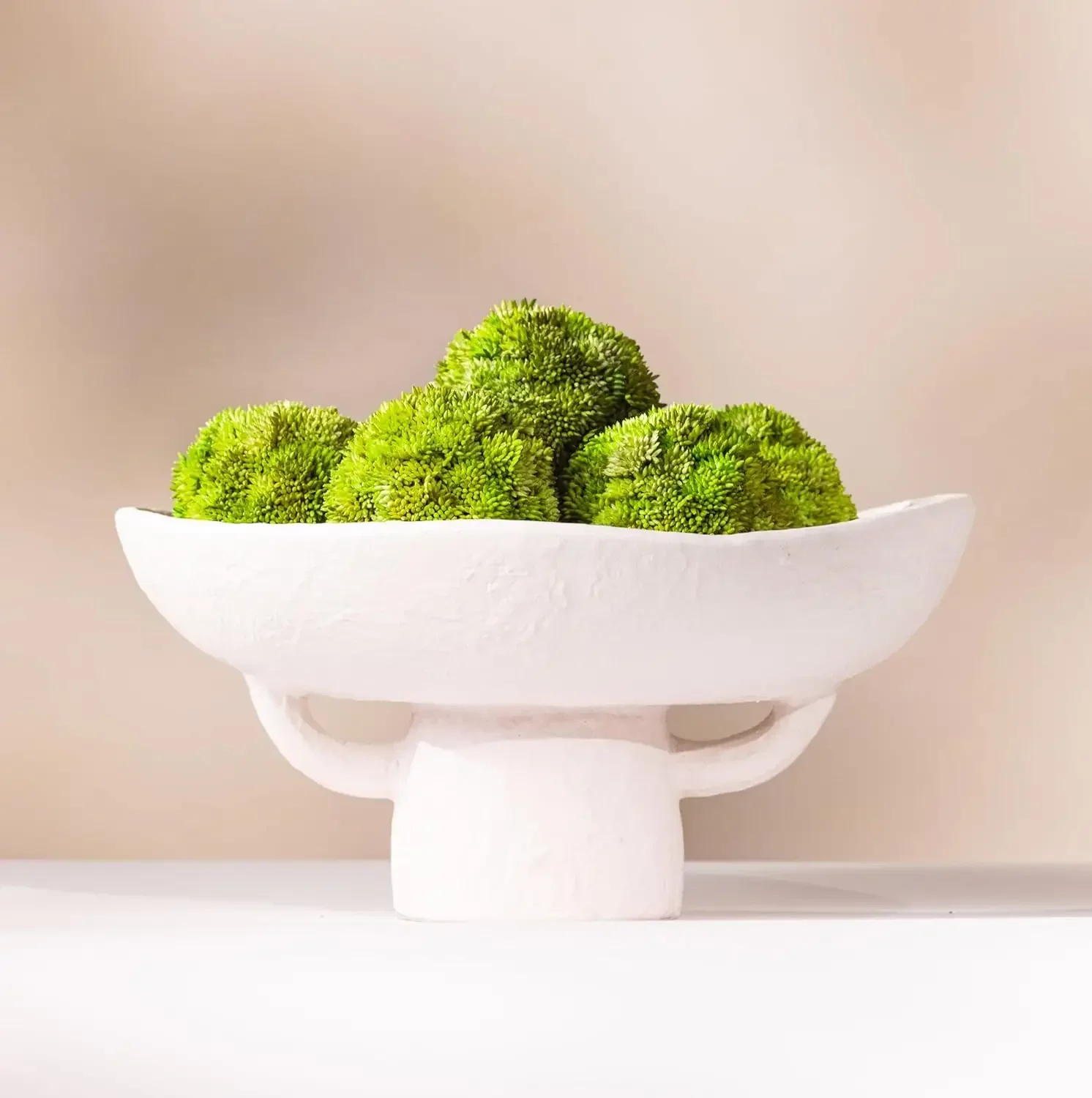 Luxurious White Textured Ceramic Bowl and Greenery Set,12.5x10.5 Inch Pedestal Decorative Bowl, with 6 Green Succulent Moss Ball
Luxurious White Textured Ceramic Bowl and Greenery Set,12.5x10.5 Inch Pedestal Decorative Bowl, with 6 Green Succulent Moss Ball