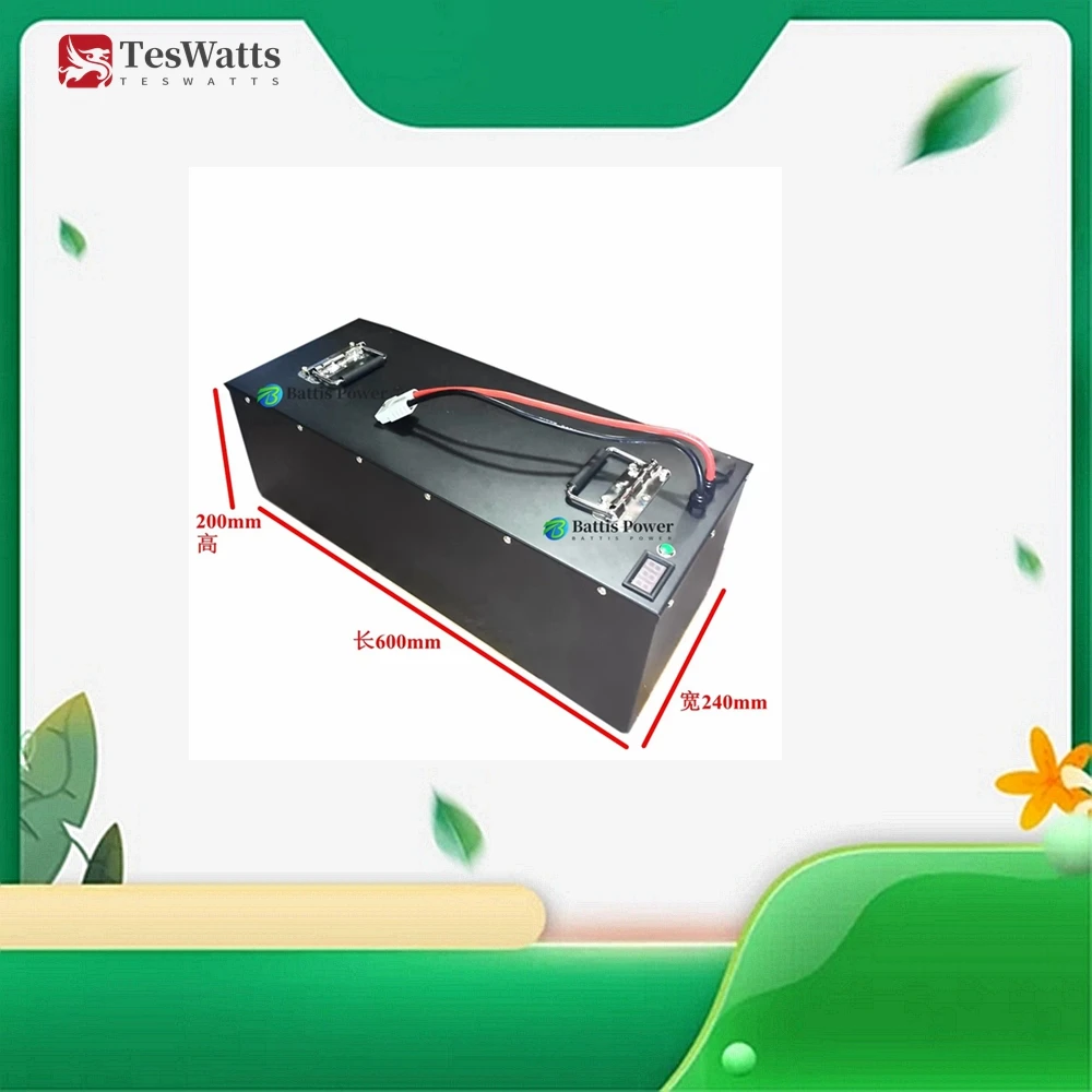 Teswatts 60V 50Ah 80Ah 100Ah 120Ah 150Ah 180Ah 200Ah Lifepo4 Battery for 2KW 3KW 5KW Golf Cart
Teswatts 60V 50Ah 80Ah 100Ah 120Ah 150Ah 180Ah 200Ah Lifepo4 Battery for 2KW 3KW 5KW Golf Cart