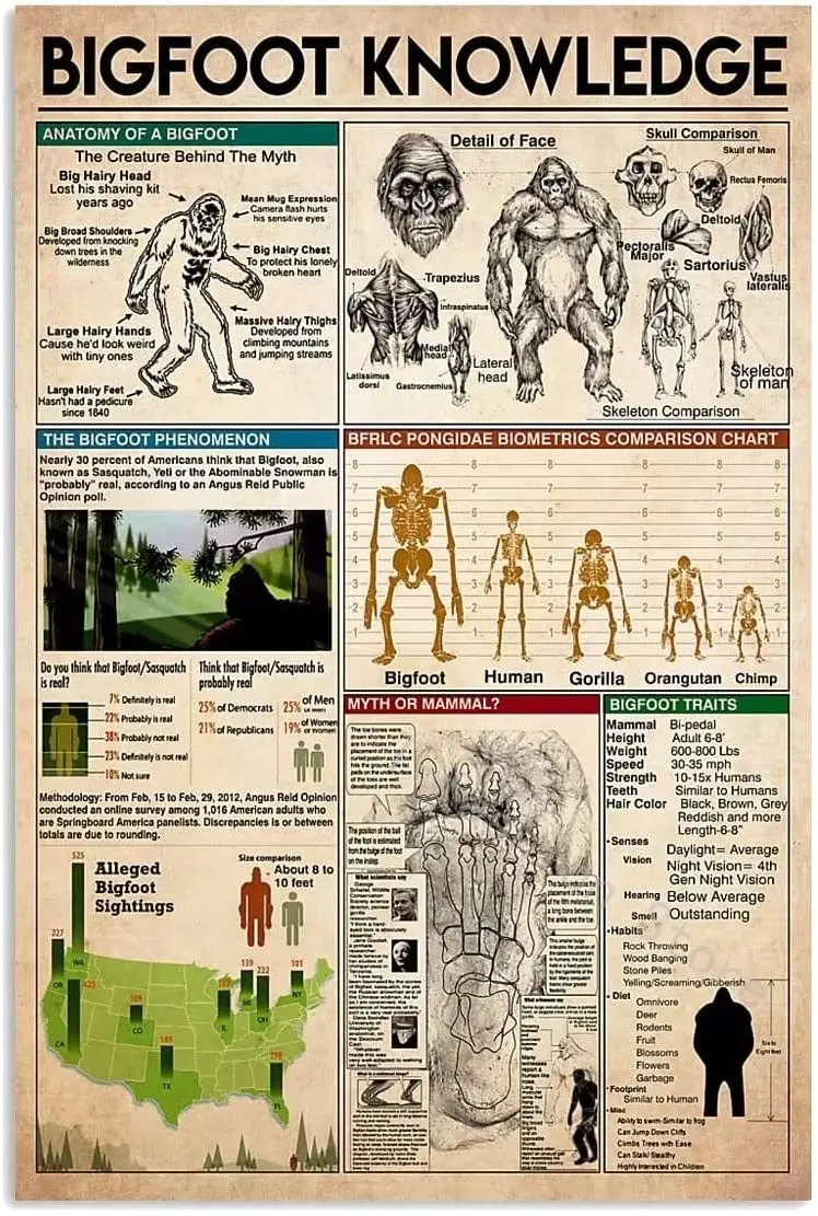 Bigfoot Infographic Metal Signs Bigfoot Knowledge Tin Posters Learn About Bigfoot Plaque Wall Decor For Home Room School
Bigfoot Infographic Metal Signs Bigfoot Knowledge Tin Posters Learn About Bigfoot Plaque Wall Decor For Home Room School