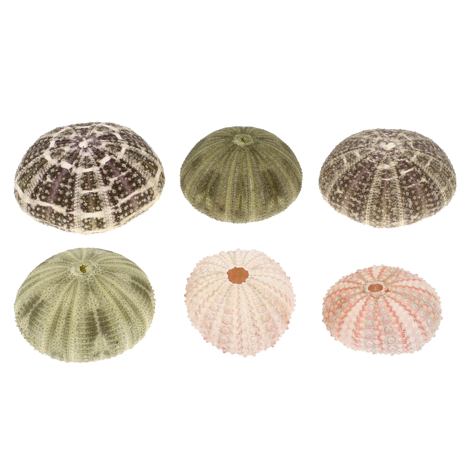6 Pcs Sea Ornament Aquarium Décor Decor Tank Decorations Fish Accessories for Planter Ornaments
6 Pcs Sea Ornament Aquarium Décor Decor Tank Decorations Fish Accessories for Planter Ornaments