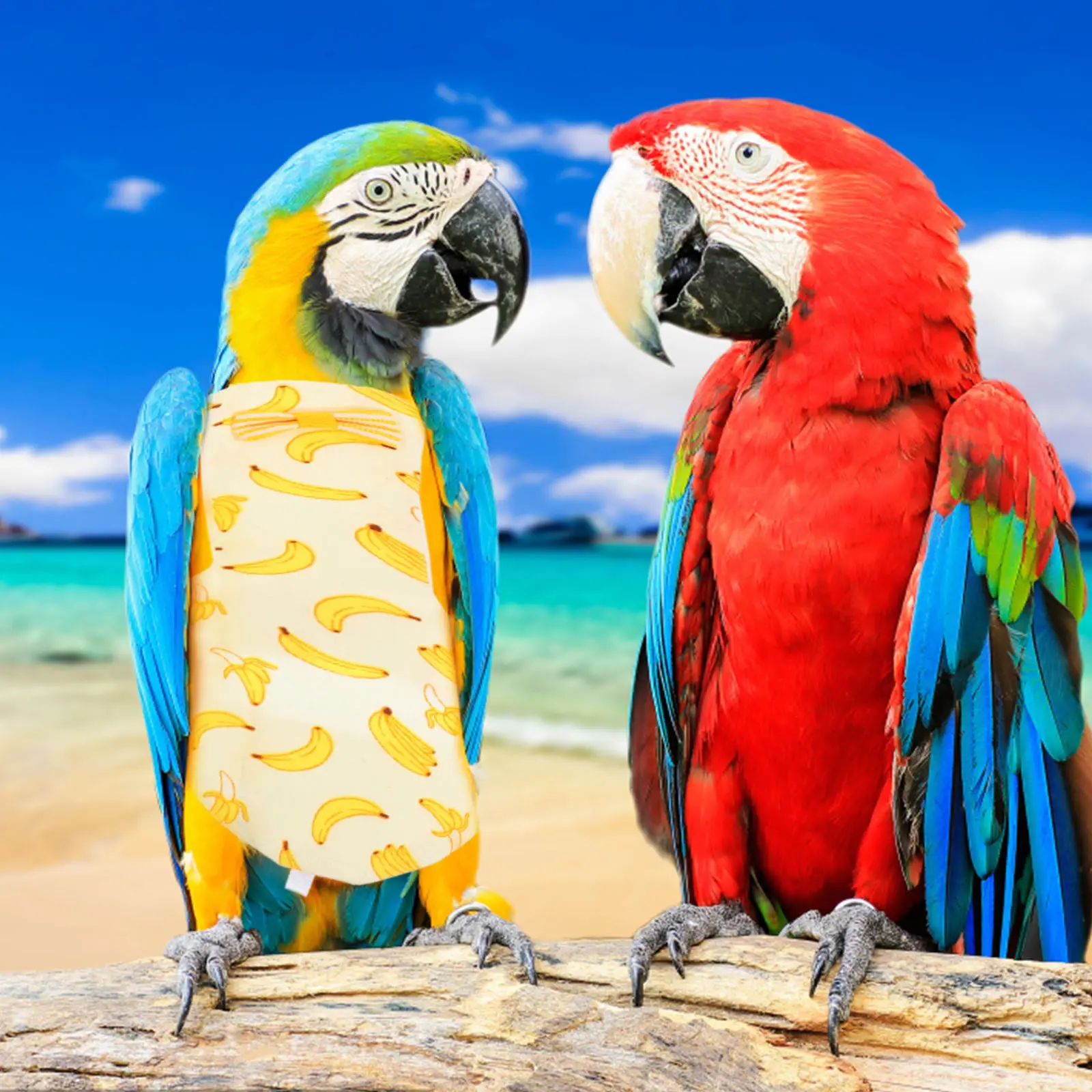 2Pcs Parrot Diaper Fine Workmanship Long Service Life Reusable Bird Flight Suit Supple Safe Pigeon Parakeet Clothing
2Pcs Parrot Diaper Fine Workmanship Long Service Life Reusable Bird Flight Suit Supple Safe Pigeon Parakeet Clothing