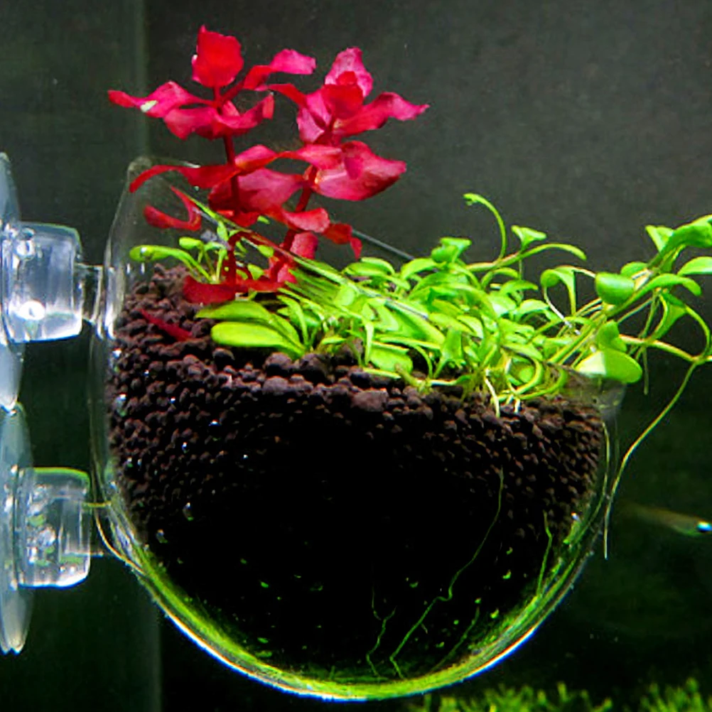 Water Plant Basin Glass Aquarium Cup Aquatic Fish Tank Supplies Grass Cultivate Accessories Pot Plants
Water Plant Basin Glass Aquarium Cup Aquatic Fish Tank Supplies Grass Cultivate Accessories Pot Plants