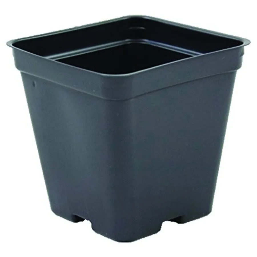 Greenhouse application plastic black deep square pots 3.5 inch x 3.5 inch case of 450
Greenhouse application plastic black deep square pots 3.5 inch x 3.5 inch case of 450