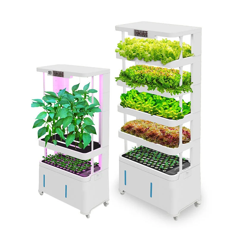 ox for House Vegetable Planting Adjustable Time and T Plant Hydroponic System with Smart Bemperature
ox for House Vegetable Planting Adjustable Time and T Plant Hydroponic System with Smart Bemperature