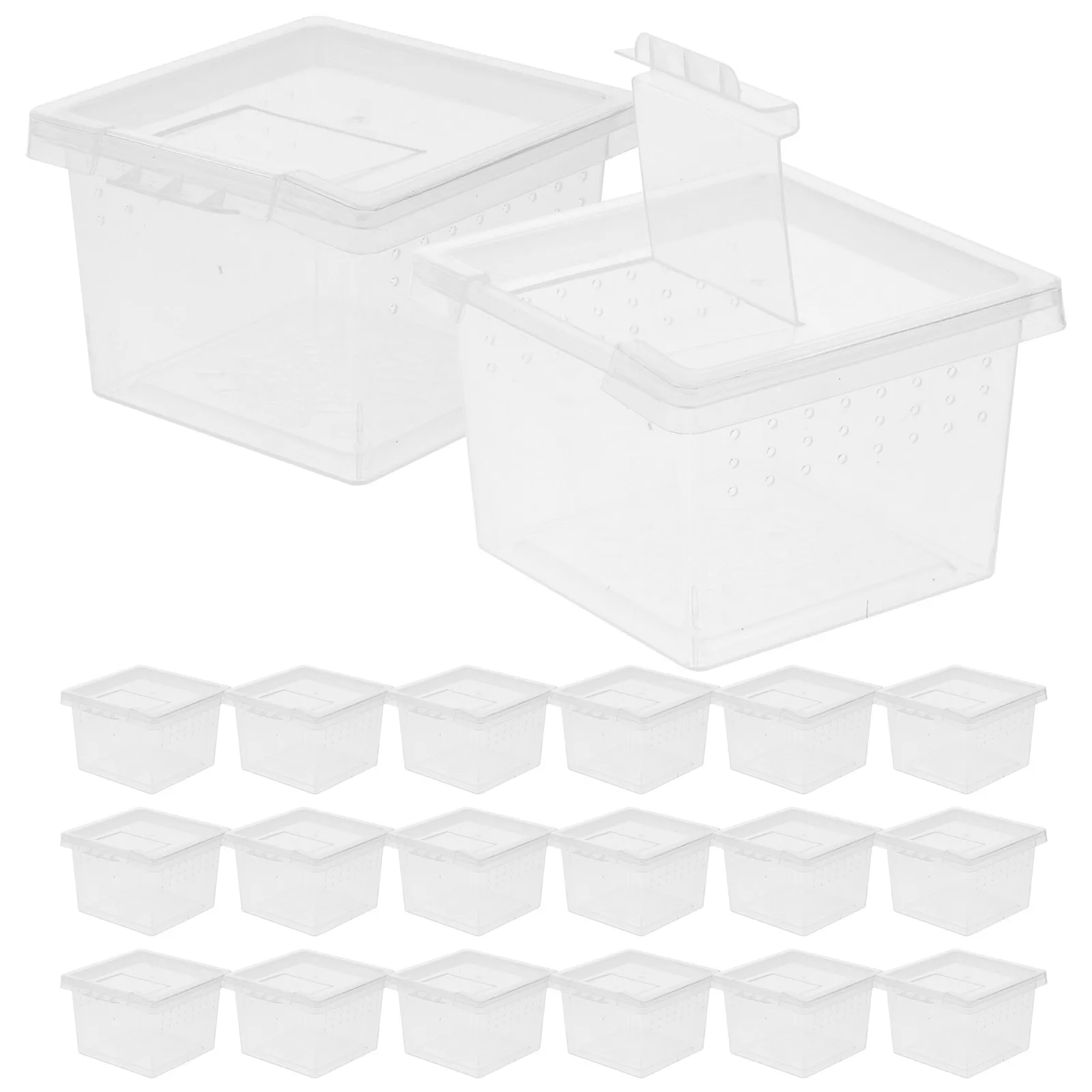 20 Pcs Observation Box 6 5x6 5x4 5cm Clear Insect Feeding Boxes Spider Terrarium Habitat Feed Boxes Gecko Tank Breathing Hole
20 Pcs Observation Box 6 5x6 5x4 5cm Clear Insect Feeding Boxes Spider Terrarium Habitat Feed Boxes Gecko Tank Breathing Hole