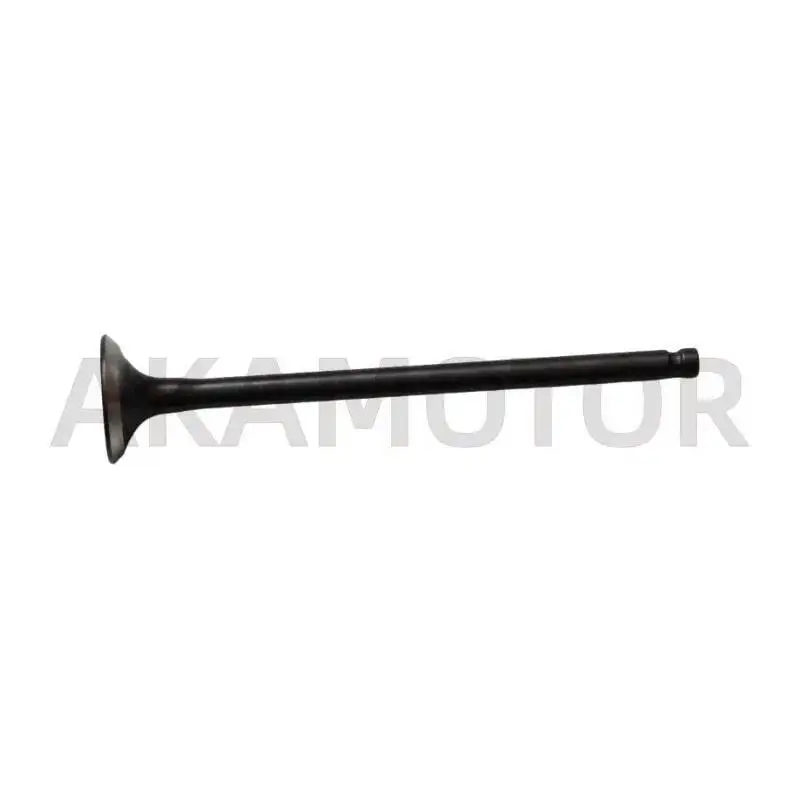Exhaust / Intake Valve For Loncin Voge LX250-22 CU250 KEV250
Exhaust / Intake Valve For Loncin Voge LX250-22 CU250 KEV250