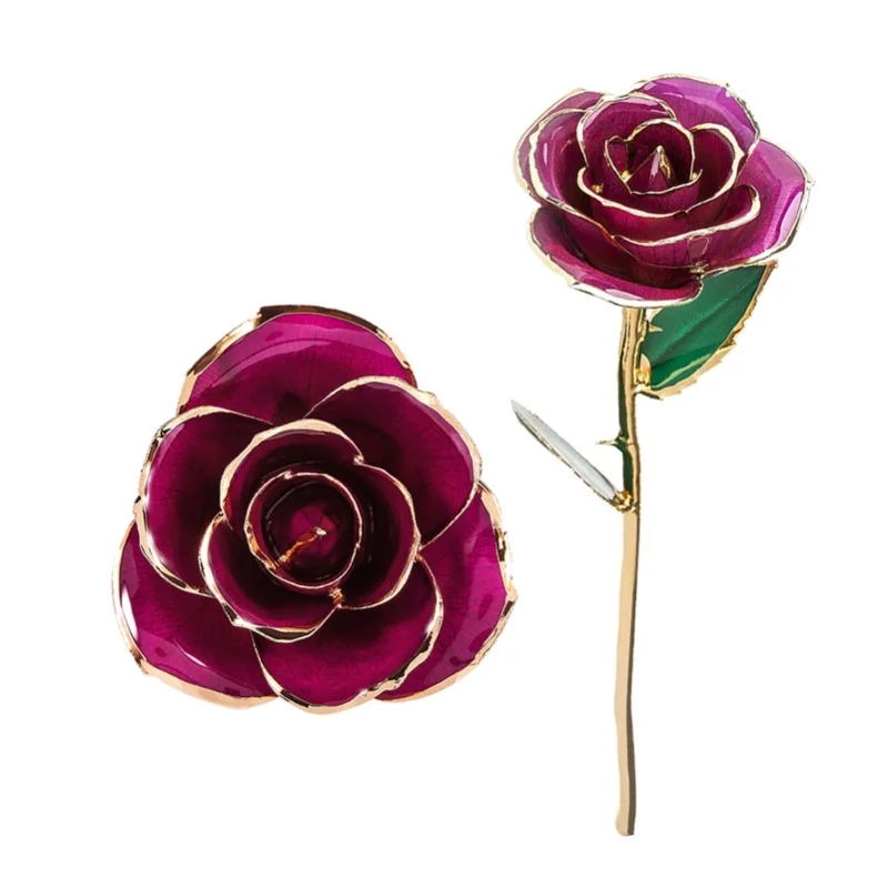 F2 Artificial Rose Gold Dipped Trimmed Rose Preserved Rose Personalised Anniversary Gifts For Women On Birthdays Mother'S Day
F2 Artificial Rose Gold Dipped Trimmed Rose Preserved Rose Personalised Anniversary Gifts For Women On Birthdays Mother'S Day