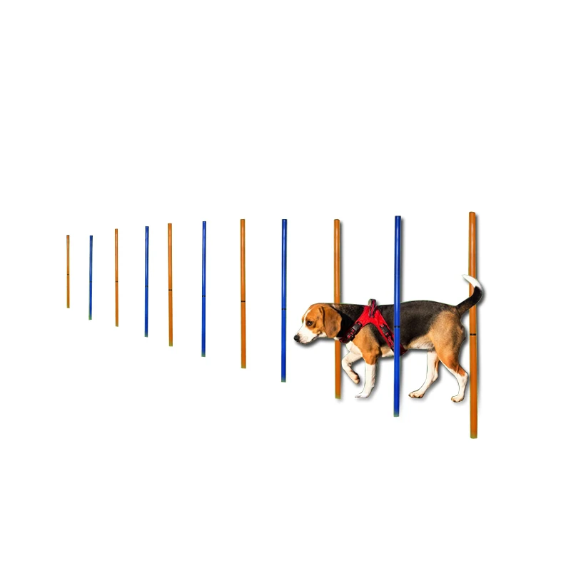Portable Detachable Pet Safe And Agility Training Equipment Device For Dog Agility Training Hurdle Device Pet Shop Online
Portable Detachable Pet Safe And Agility Training Equipment Device For Dog Agility Training Hurdle Device Pet Shop Online