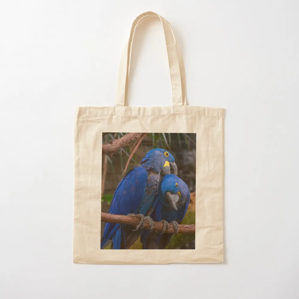 Preening Hyacinth Macaws Tote Bag Handbags canvas shopping bag tote bags cloth bags Canvas Tote Bag
Preening Hyacinth Macaws Tote Bag Handbags canvas shopping bag tote bags cloth bags Canvas Tote Bag