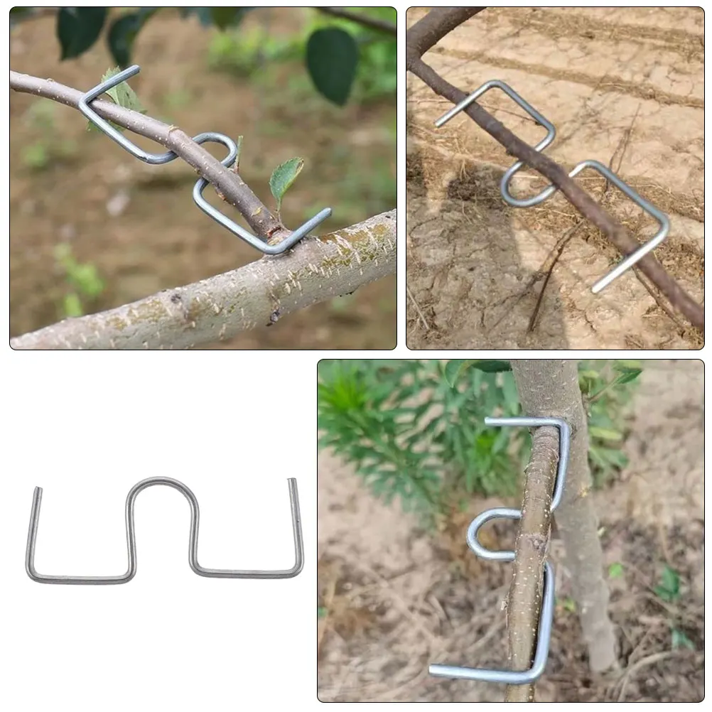 20 pcs M-Shaped Fruit Tree Branch Puller Silver Hot Dip Galvanized Steel Wire Durable Lightweight Reusable Gardening Tool Plant
20 pcs M-Shaped Fruit Tree Branch Puller Silver Hot Dip Galvanized Steel Wire Durable Lightweight Reusable Gardening Tool Plant