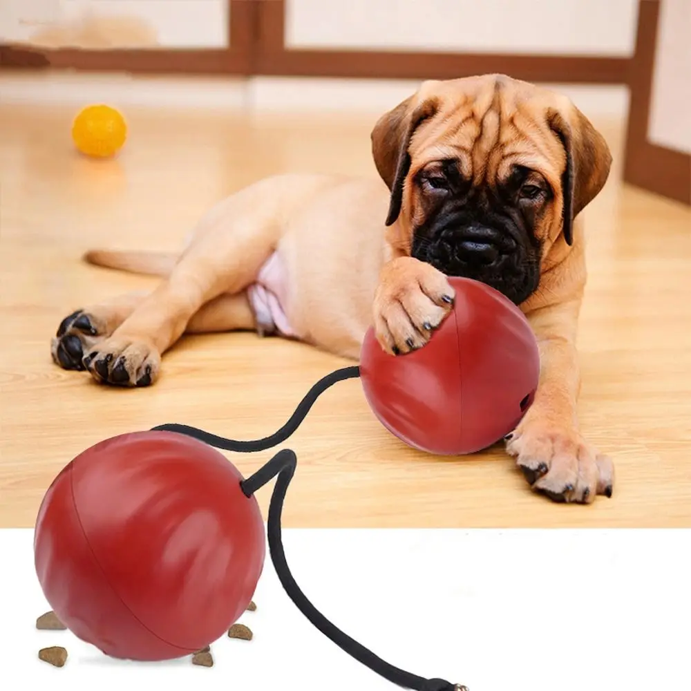 Creative Interactive Dog Squeaky Toys Bite-resistant Funny Dog Tibetan Food Toys Cartoon Puppy Slow Food Toy Reduce Boredom
Creative Interactive Dog Squeaky Toys Bite-resistant Funny Dog Tibetan Food Toys Cartoon Puppy Slow Food Toy Reduce Boredom