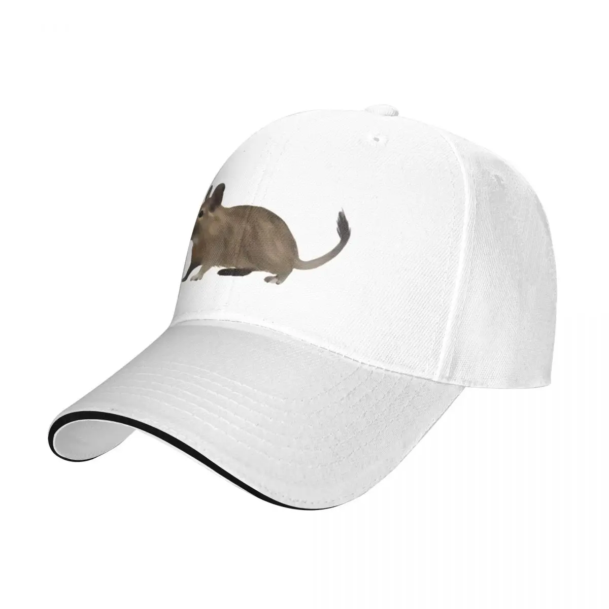 PET DEGU Baseball Cap Sun Hat For Children Military Tactical Cap hard hat Men's Caps Women's
PET DEGU Baseball Cap Sun Hat For Children Military Tactical Cap hard hat Men's Caps Women's