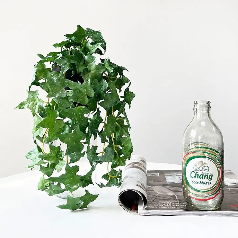 Bonsai Plants Soft Artificial Copper Coin Grass Plants Handmade Realistic Fake Ivy Leaf Leaves Wall Hanging Mini Bouquet Office
Bonsai Plants Soft Artificial Copper Coin Grass Plants Handmade Realistic Fake Ivy Leaf Leaves Wall Hanging Mini Bouquet Office