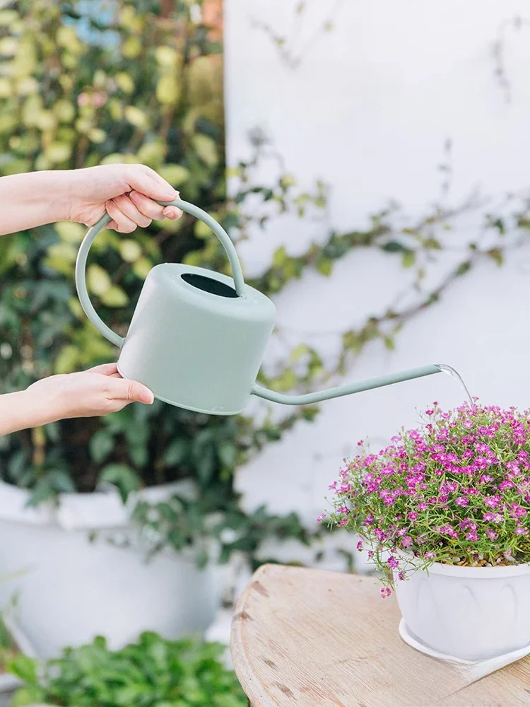 Country Sle Iron Watering Can JOJOS PDJuna for Flower Care Garden Tools Rustic Iron Pouring Jug eenhouse Supplies
Country Sle Iron Watering Can JOJOS PDJuna for Flower Care Garden Tools Rustic Iron Pouring Jug eenhouse Supplies