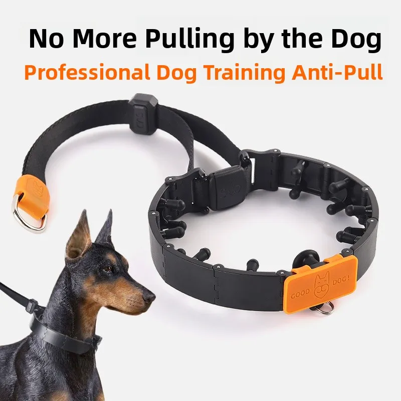 Large Dog Explosive Proof P-Chain Collar Doberman Pinscher Golden Retriever Dog Training Collar Pet Supplies Lea
Large Dog Explosive Proof P-Chain Collar Doberman Pinscher Golden Retriever Dog Training Collar Pet Supplies Lea