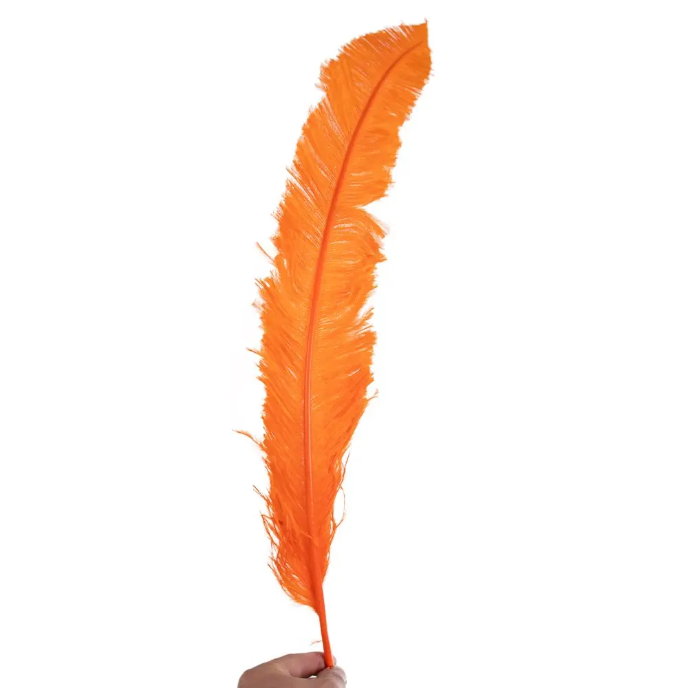 10PCS 50-60cm Luxury Trimmed Ostrich Feathers with Thin Rods for Centerpiece Arrangements Wedding DIY Crafts Thick rod
10PCS 50-60cm Luxury Trimmed Ostrich Feathers with Thin Rods for Centerpiece Arrangements Wedding DIY Crafts Thick rod