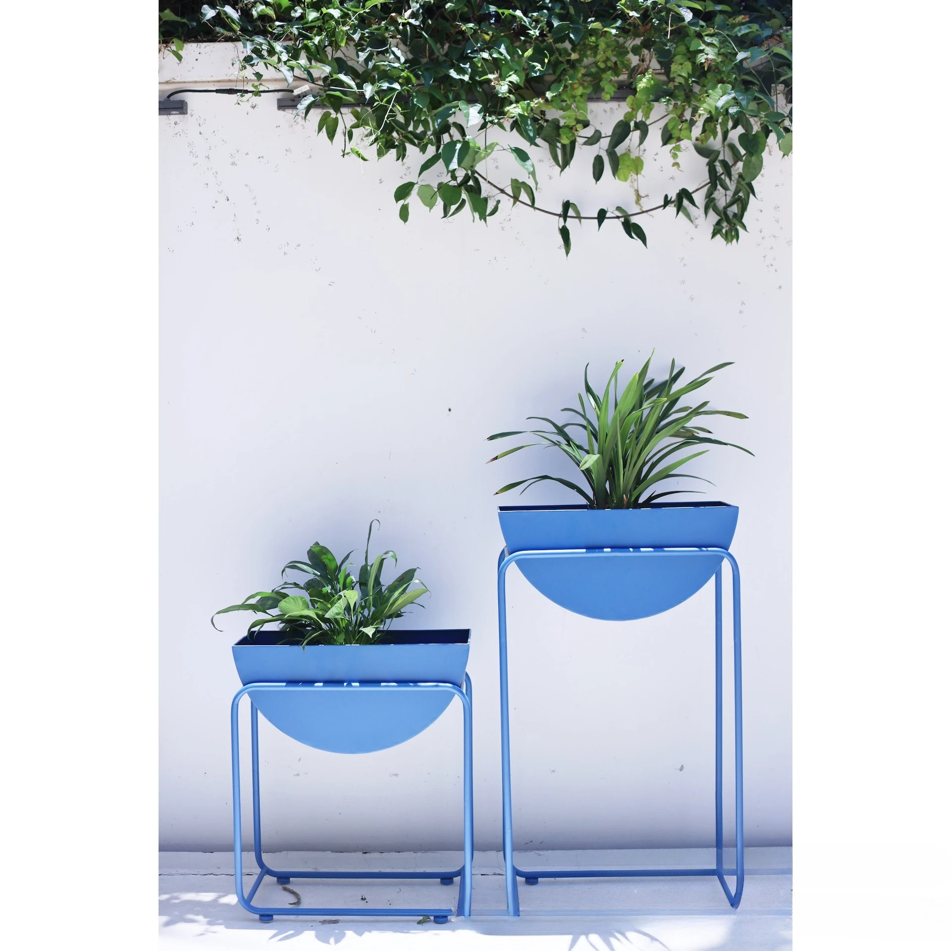Hee Woo Institute Semicircular Blue Flower Stand Combination Design Flower Pot Iron Art Indoor Green Plants Modern Minimalist Mo
Hee Woo Institute Semicircular Blue Flower Stand Combination Design Flower Pot Iron Art Indoor Green Plants Modern Minimalist Mo