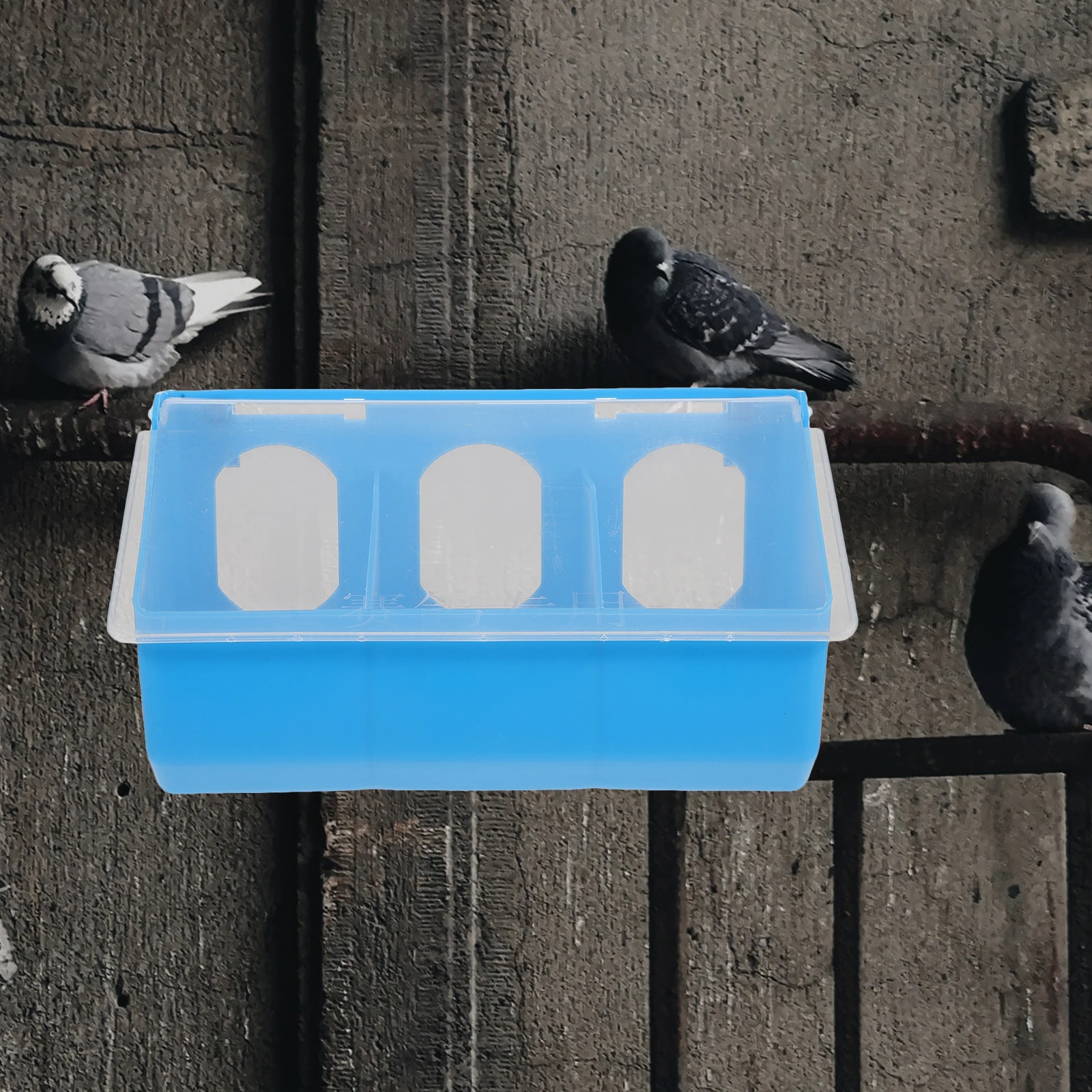 Pigeon Feeder 3 Holes Hanging Box Blue Color Durable Plastic Anti Spatter Wear Resistant Lightweight Bird Cage Accessories
Pigeon Feeder 3 Holes Hanging Box Blue Color Durable Plastic Anti Spatter Wear Resistant Lightweight Bird Cage Accessories