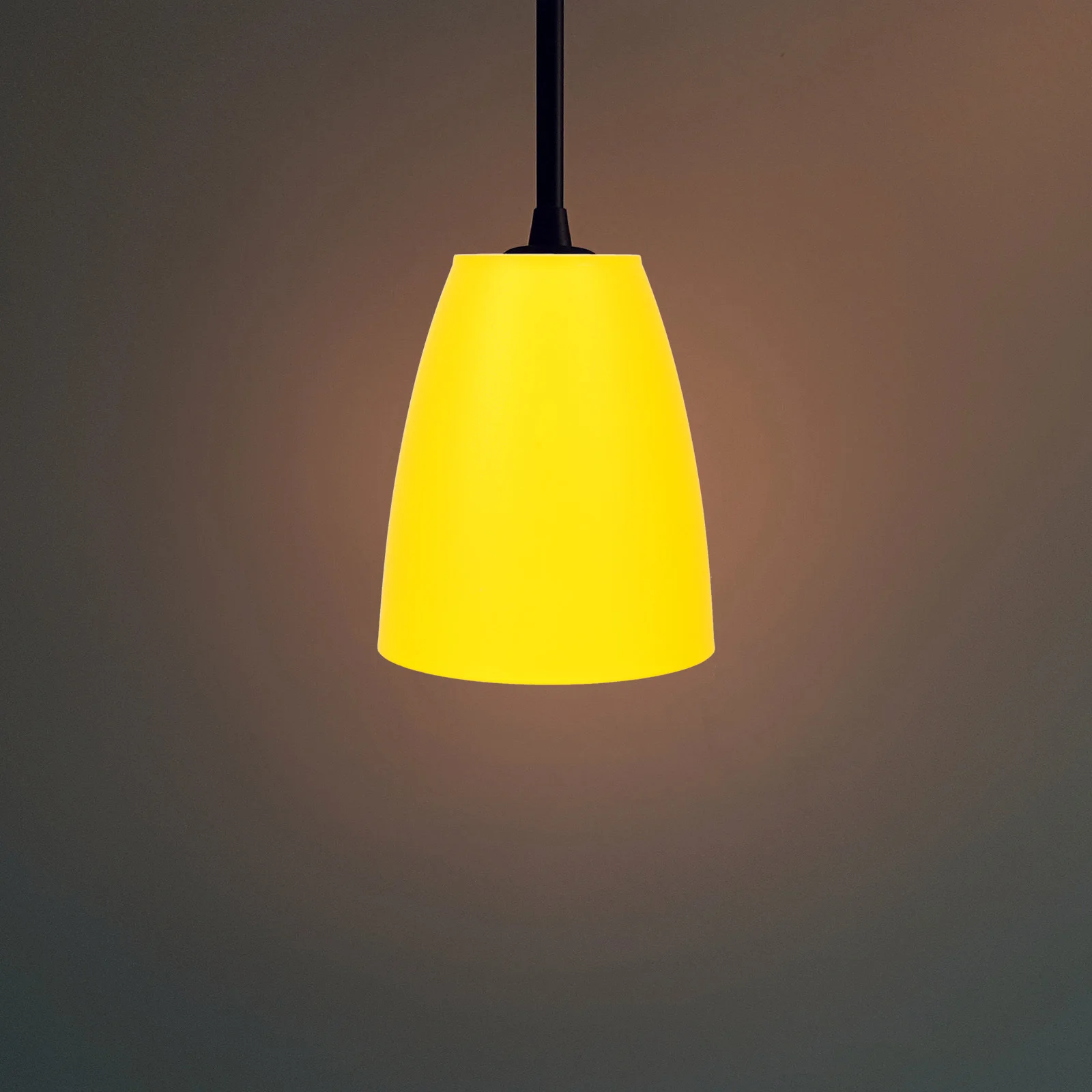 Plastic Lampshade Replacement For Ceiling Wall Floor Lights Durable Vibrant Light Cover Decorative Dome Shade Home Bedroom
Plastic Lampshade Replacement For Ceiling Wall Floor Lights Durable Vibrant Light Cover Decorative Dome Shade Home Bedroom