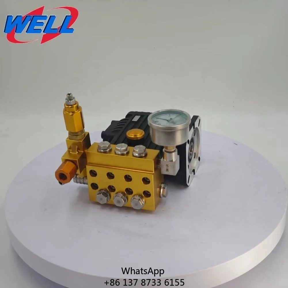 WEITE 1210C New Heavy Duty High Pressure Plunger Pump Cold Water Cleaning 1300Psi 1.22Gpm Aluminum Alloy Crankshaft Pump
WEITE 1210C New Heavy Duty High Pressure Plunger Pump Cold Water Cleaning 1300Psi 1.22Gpm Aluminum Alloy Crankshaft Pump