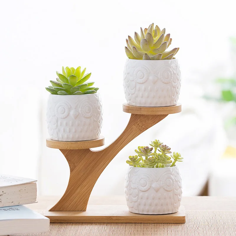 Three-Tier Plant Stand - Bamboo Desktop Bonsai Display Shelf, Green Plant Flower Pot Holder
Three-Tier Plant Stand - Bamboo Desktop Bonsai Display Shelf, Green Plant Flower Pot Holder