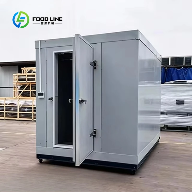 Customized Factory Price Mobile Cold Room Eco-Friendly Commercial Cold Storage for Retail Shop Walk-in Freezer
Customized Factory Price Mobile Cold Room Eco-Friendly Commercial Cold Storage for Retail Shop Walk-in Freezer