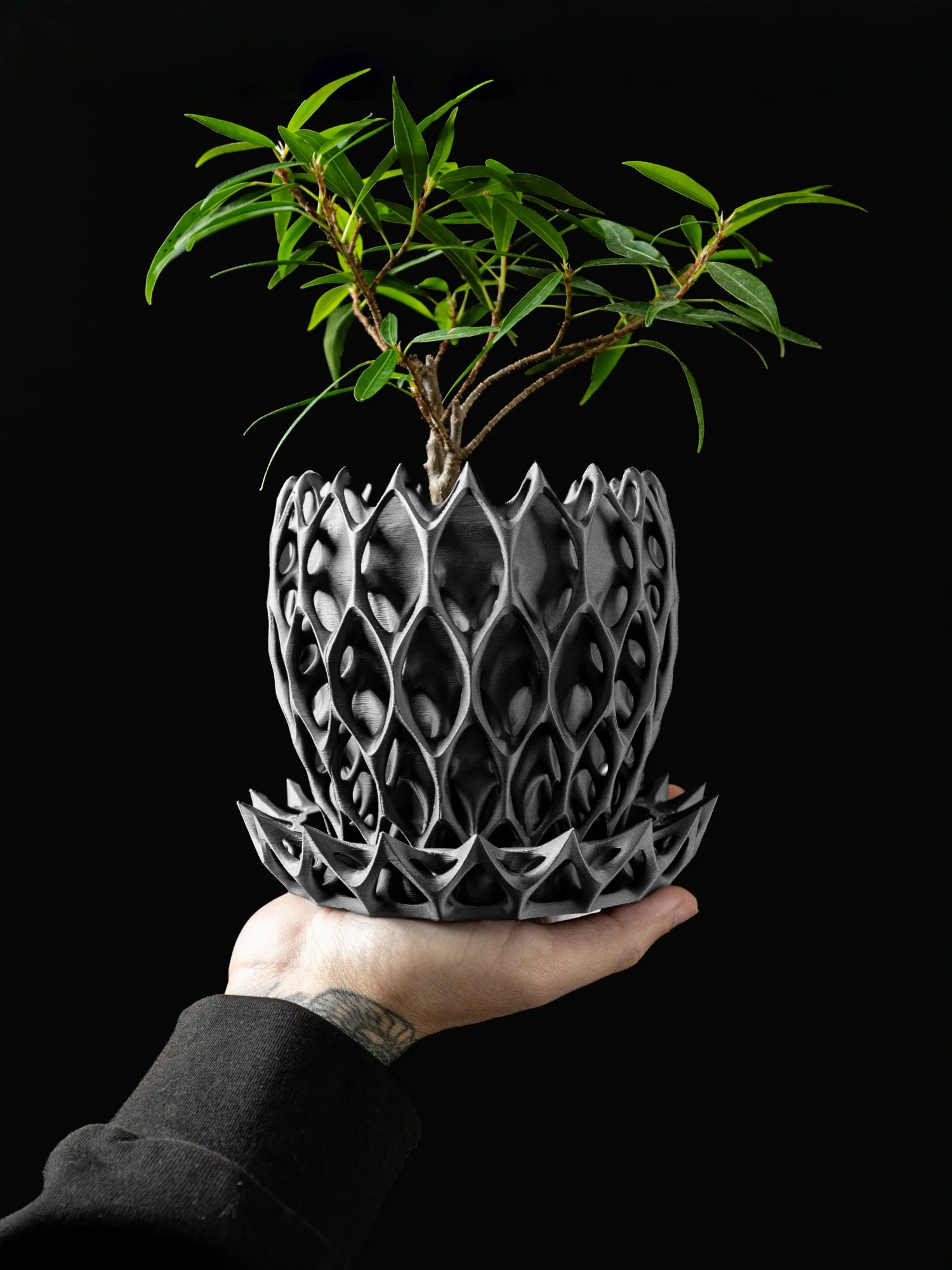 Modern Minimalist 3D Printed Plant Pot – Biodegradable Flower Planter for Home Decor, Eco-Friendly Sustainable Gift (Invader)
Modern Minimalist 3D Printed Plant Pot – Biodegradable Flower Planter for Home Decor, Eco-Friendly Sustainable Gift (Invader)
