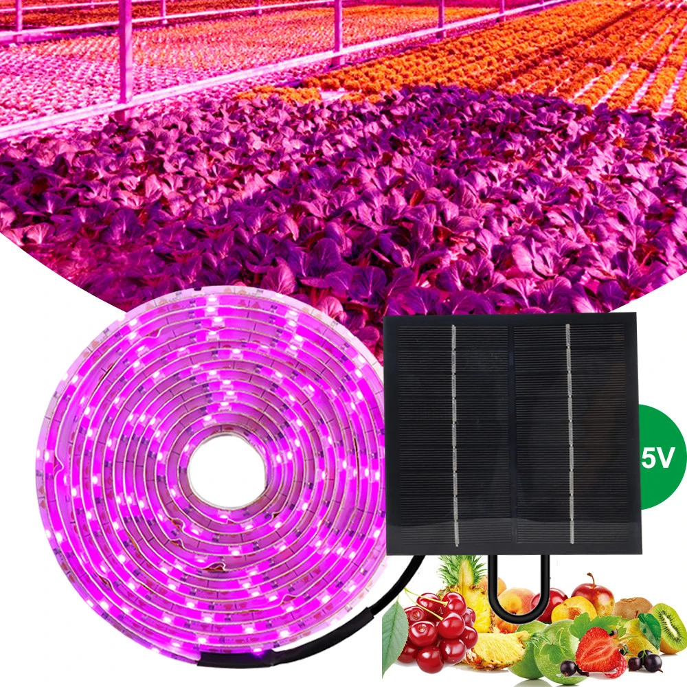 5M Flower Seed Hydroponic Light Full Spectrum LED Grow Light Strip DC 5V 2835 SMD for Plants Hydroponics Growing System
5M Flower Seed Hydroponic Light Full Spectrum LED Grow Light Strip DC 5V 2835 SMD for Plants Hydroponics Growing System