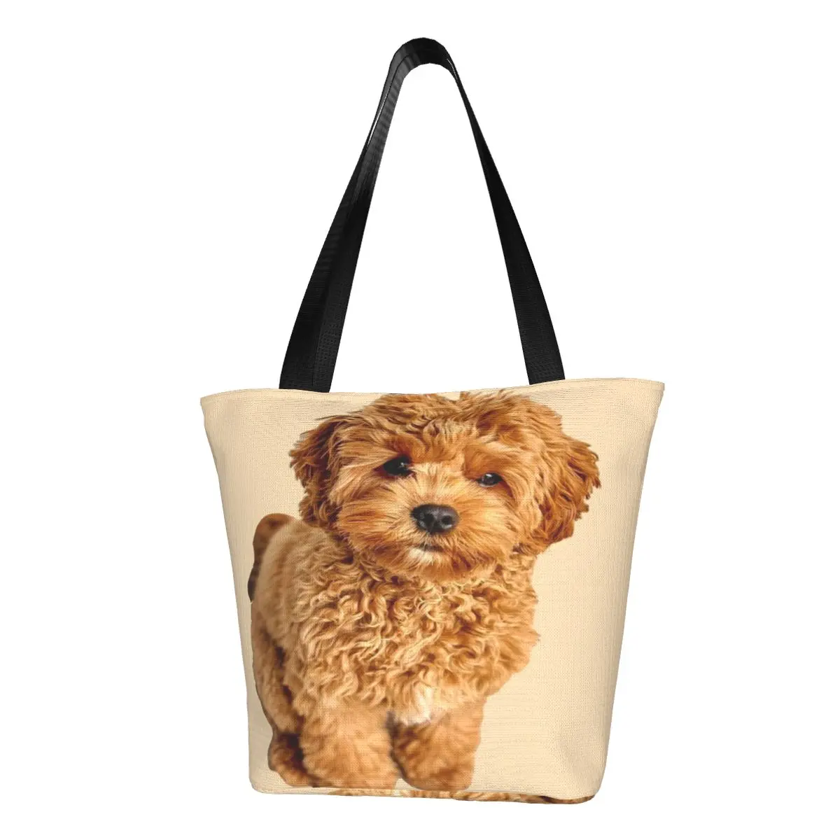 Повседневная Сумка-тоут Cavapoo для покупок, вместительная простая просторная сумка для путешествий, подарок на день рождения
Повседневная Сумка-тоут Cavapoo для покупок, вместительная простая просторная сумка для путешествий, подарок на день рождения