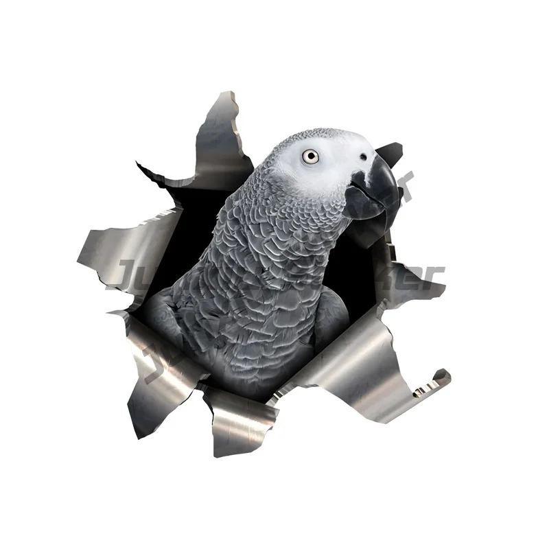 African Grey Parrot Car Stickers, Weather-Resistant Vinyl Stickers for Windows, Bumper Crafts - PVC Material Vehicle Decal
African Grey Parrot Car Stickers, Weather-Resistant Vinyl Stickers for Windows, Bumper Crafts - PVC Material Vehicle Decal