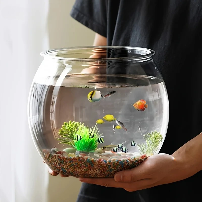 Desk Round Fish Bowl Pet Tank Shatter-Proof High Light Transmittance Decorative Aquarium for Desktops Safe for Home
Desk Round Fish Bowl Pet Tank Shatter-Proof High Light Transmittance Decorative Aquarium for Desktops Safe for Home