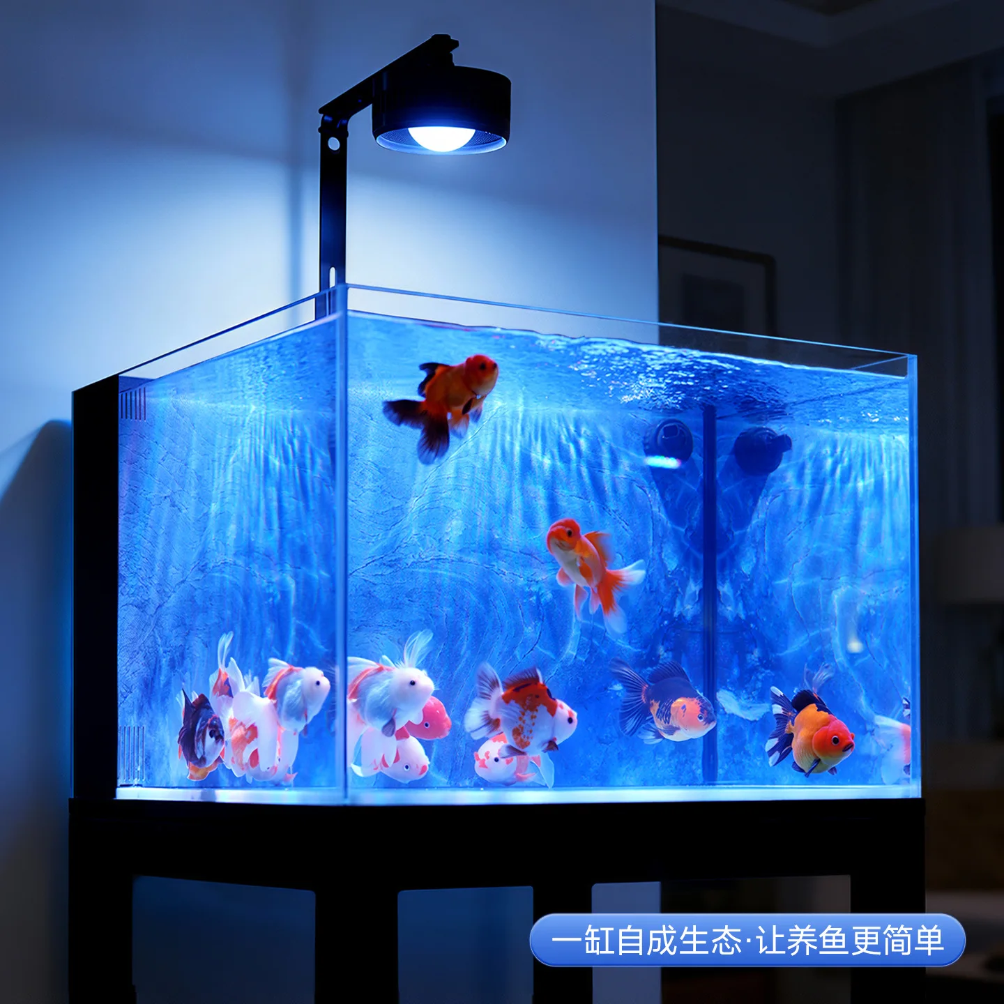 Fish tank filter oxygen generator, living room household rock slab back filter square tank, ultra-white ecological tank
Fish tank filter oxygen generator, living room household rock slab back filter square tank, ultra-white ecological tank