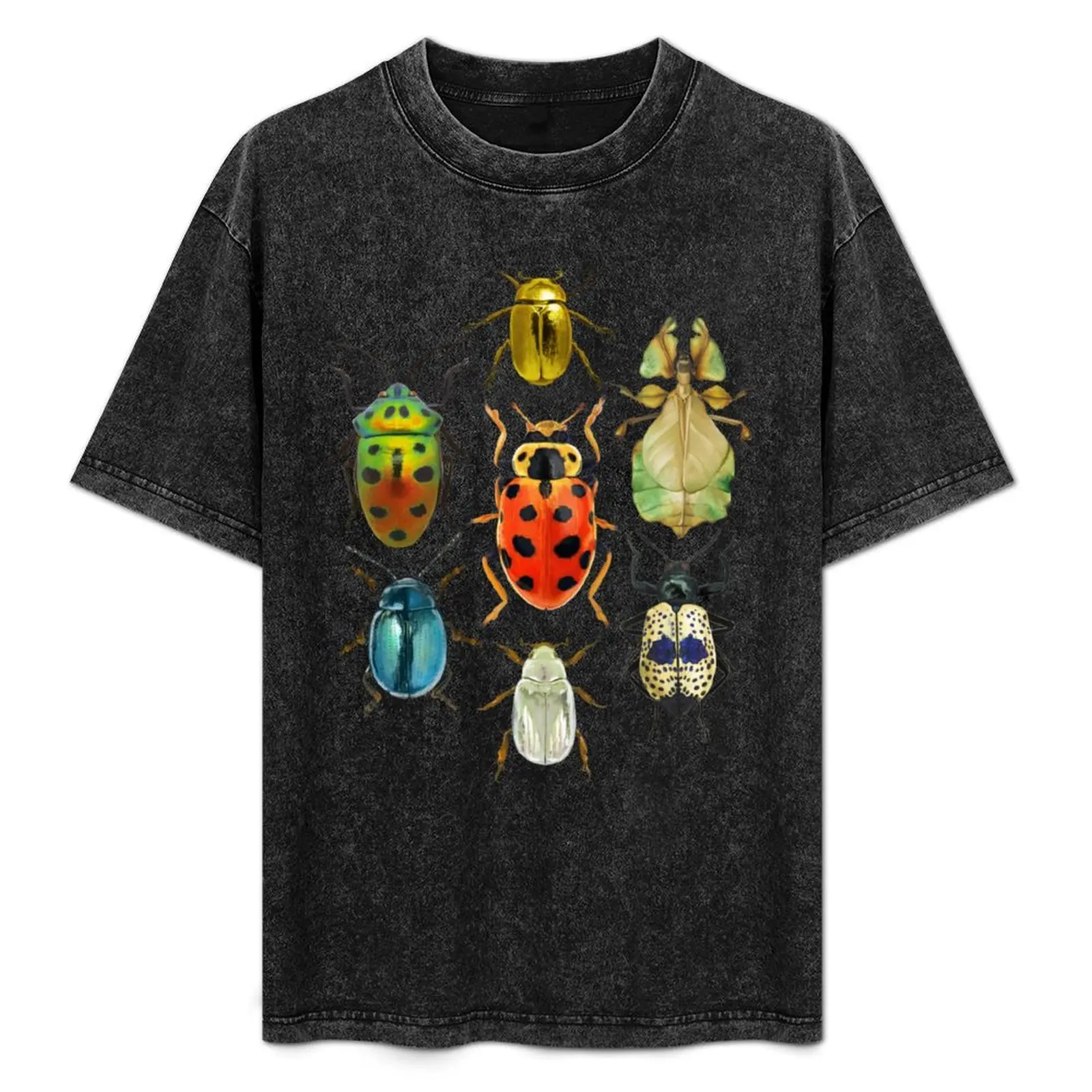 Beetle Compilation T-Shirt Soft Lightweight Cotton T-Shirt
Beetle Compilation T-Shirt Soft Lightweight Cotton T-Shirt