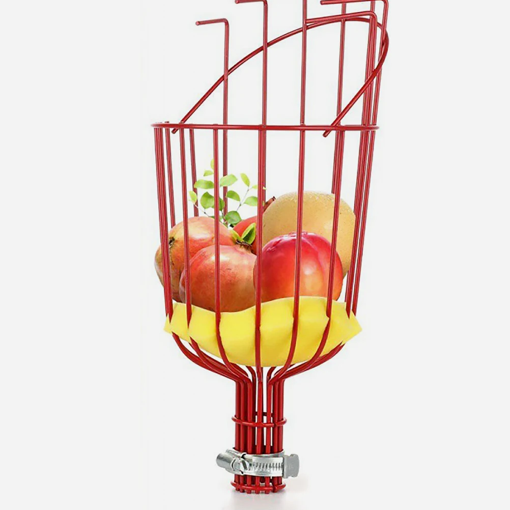 Fruit Picker Tool Stainless Steel Garden Tools Harvest Basket for Picking Apples Oranges Mangoes Avocados Peaches Easy Use 
Fruit Picker Tool Stainless Steel Garden Tools Harvest Basket for Picking Apples Oranges Mangoes Avocados Peaches Easy Use