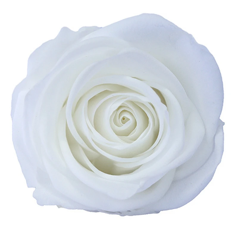 4-5cm 8PCS/Box Preserved Fresh Rose Flower Eternal Rose Head Birthday Gift DIY Material Bouquet Long Lasting Decoration Mariage
4-5cm 8PCS/Box Preserved Fresh Rose Flower Eternal Rose Head Birthday Gift DIY Material Bouquet Long Lasting Decoration Mariage