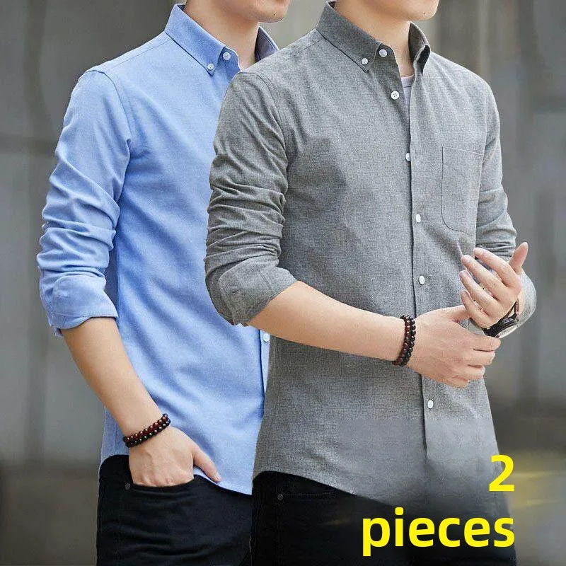 Oxford Cloth Long Sleeve Shirt Men's Workwear Spring Summer Anti-UV Wear Resistant Casual Style Standard Fit Cotton Lined Shirt
Oxford Cloth Long Sleeve Shirt Men's Workwear Spring Summer Anti-UV Wear Resistant Casual Style Standard Fit Cotton Lined Shirt