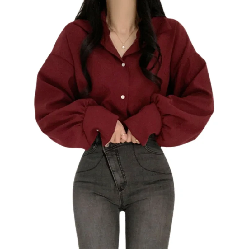 Puff Sleeve Temperament Collar Professional White Shirt Women's Design Sense Spring and Autumn Base Shirt Top
Puff Sleeve Temperament Collar Professional White Shirt Women's Design Sense Spring and Autumn Base Shirt Top