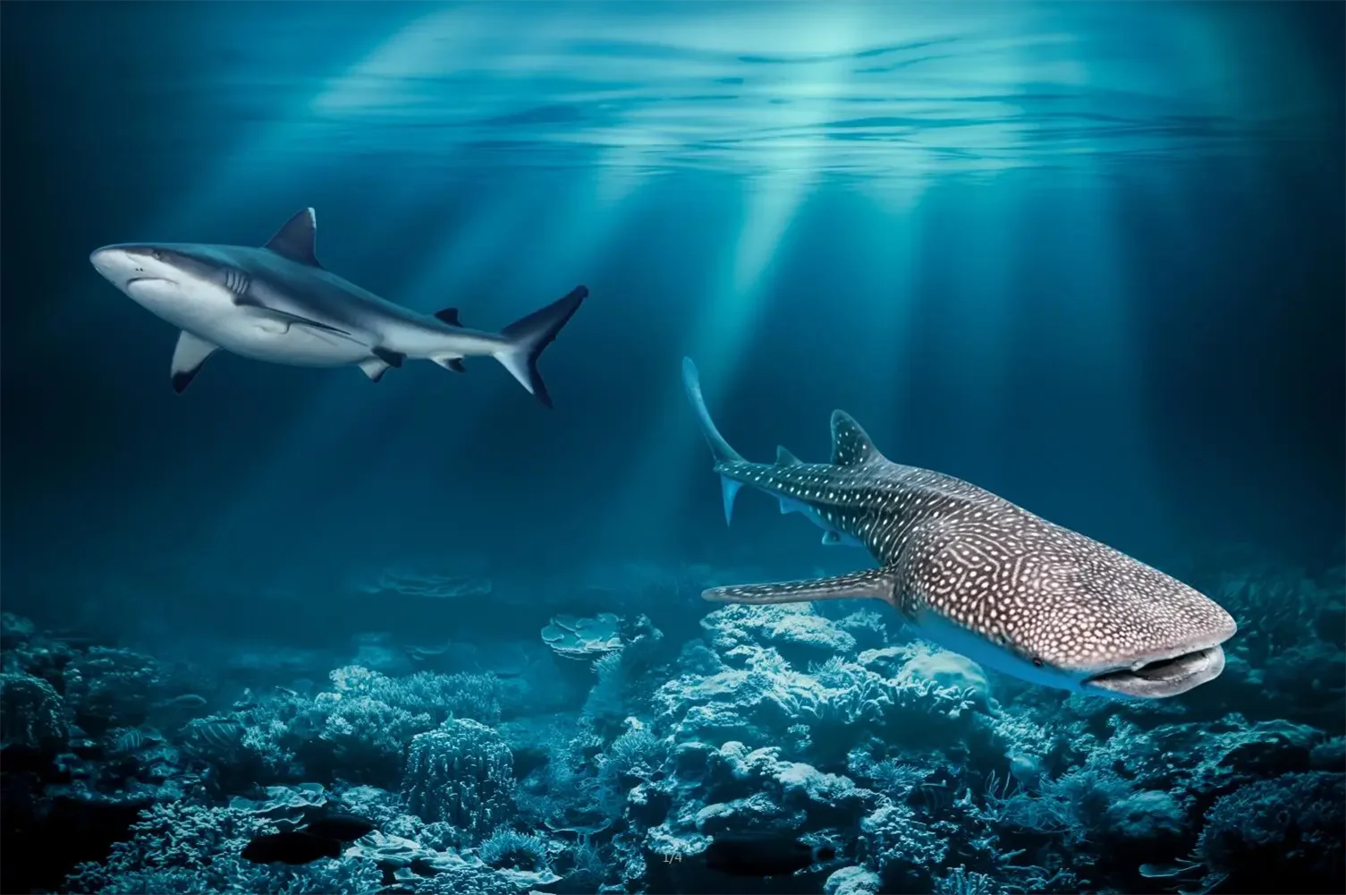 custom Underwater World Wallpaper Mural European Dolphin Fish wall paper Zenith Ceiling Mural papel de parede 3d para sala home
custom Underwater World Wallpaper Mural European Dolphin Fish wall paper Zenith Ceiling Mural papel de parede 3d para sala home